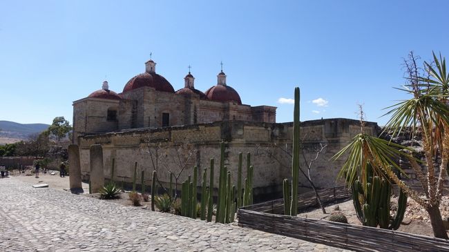 ２０１７年のお正月休み、冬は暑い所に行こうと２度目のメキシコへ。前回はメキシコシティとユカタン半島を巡ったので、中央高原を中心に回りました。<br /><br />その２は、精巧なモザイクで飾られたサポテコ族の遺跡ミトラと、アメリカ大陸最大の木と言われるトゥーレの木を訪れました。帰りがけにはメスカルの試飲も。<br /><br />・お昼はバイキングで<br />・ミトラの教会<br />・北の中庭と石柱のホール<br />・モザイクの中庭、西の建物の中は驚きの空間<br />・南の中庭と墳墓<br />・車窓からみた、世界遺産にもなっている有史以前の横穴遺跡と岩絵<br />・メスカル蒸溜所で試飲<br />・トゥーレの木<br /><br />表紙写真は、ミトラの教会とサボテンの風景。