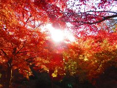 そうだ！秋の京都に行こう♪（2016年11月・ホテル近鉄京都駅）