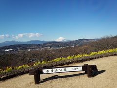 吾妻山公園の富士山