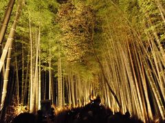 京都紅葉と嵐山花灯路の旅