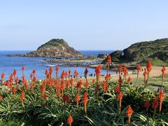 2017年旅の始まりは～伊豆へのんびり温泉旅行～