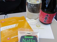 JAL B767-300ER ビジネスクラス搭乗記・仁川-成田(JL954) + ソウル留学中の教え子とデモの様子を見てきました。 / Review: Japan Airlines(JAL) B767-300ER Business Class Seoul-Tokyo 