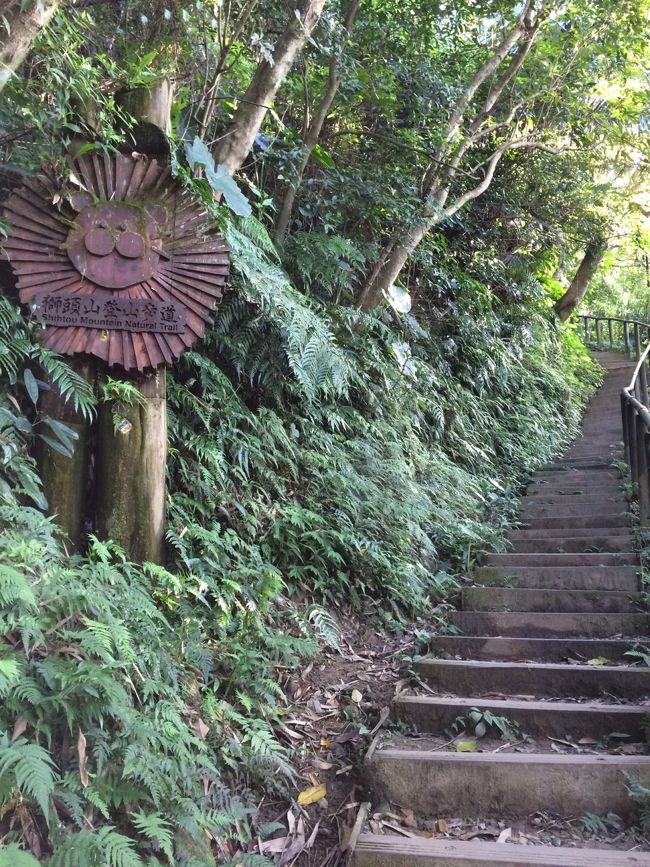 新北市にある獅頭山登山歩道というコースを発見　夫の仕事中に1人で登ります