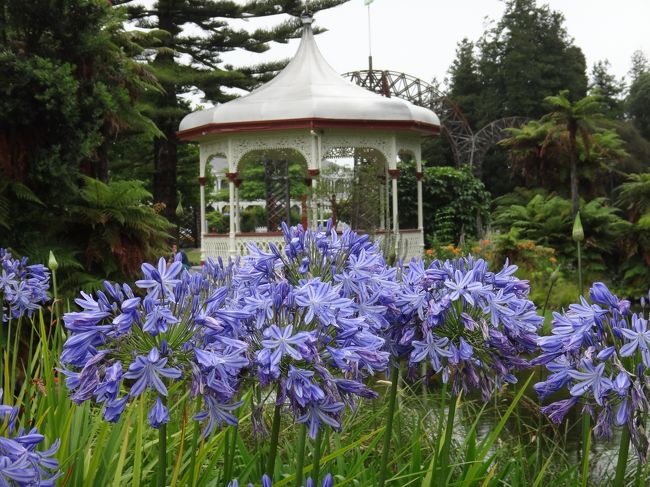 お花とガーデンが大好きな私が一度は見てみたいと憧れたのは、ニュージーランドのルピナスの花が群生する湖や山の風景。日本とは反対の季節のＮＺではその風景は１１～１２月が最適とは聞いていたのですが、仕事の関係で年始のお休みの時期にずれ込むことに。さて、私はあこがれの風景の中にに身を置くことができたのでしょうか？<br /><br />今回も先回のスイス旅と同じくＪ社さんのパッケージツアーを利用させていただいて、次の日程でＮＺ周遊をしてまいりました。今回は日程順に旅行記を書いていきたいと思います。<br /><br />１日目（２０１７年１月２日）　　１８：３０　成田発　ニュージーランド航空（所要時間１０時間３０分）<br />２日目（２０１７年１月３日）　　９：００　オークランド着→ワイトモ→ロトレア　　　&lt;ロトレア泊&gt;<br />３日目（２０１７年１月４日）　　ロトレア→トンガリロ国立公園→ウエリントン　　　　&lt;ウエリントン泊&gt;<br />４日目（２０１７年１月５日）　　ウエリントン→（国内線）→クライストチャーチ→テカポ湖　&lt;テカポ泊&gt;<br />５日目（２０１７年１月６日）　　テカポ→オマラマ→アロータウン→クィーンズタウン　&lt;クィーンズタウン泊&gt;<br />６日目（２０１７年１月７日）　　クィーンズタウン→ミルフォードサウンド→クィーンズタウン　&lt;クィーンズタウン泊&gt;　<br />７日目（２０１７年１月８日）　　クィーンズタウン→マウントクック国立公園　&lt;マウントクック泊&gt;<br />８日目（２０１７年１月９日）　　マウントクック→クライストチャーチ→（国内線）→オークランド　&lt;オークランド泊&gt;<br />９日目（２０１７年１月１０日）　９：５５　オークランド発→１６：４５　成田着　ＮＺ航空（所要時間１０時間５０分）<br /><br />今回は１・２日目の旅行記です。