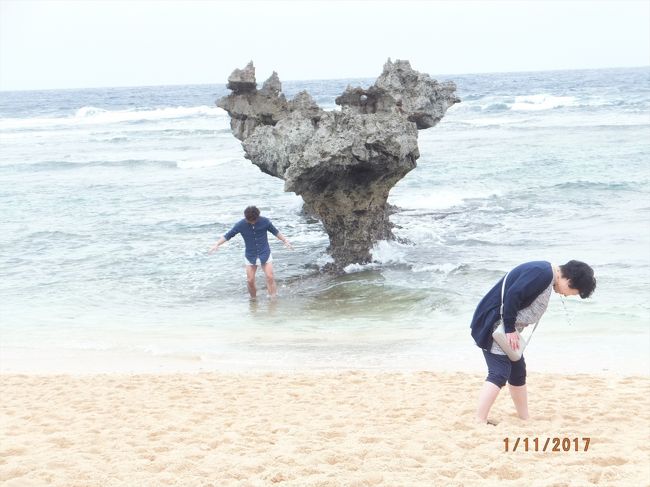 今日は沖縄の北部を巡ります。<br /> 朝、ホテルを出て美ら海水族館を目指します。<br /> 高速道路で行こうと思っていましたが、ナビで見るとそんなに時間が変わらないことから、景色を楽しみながら一般道で行くことに。<br />
