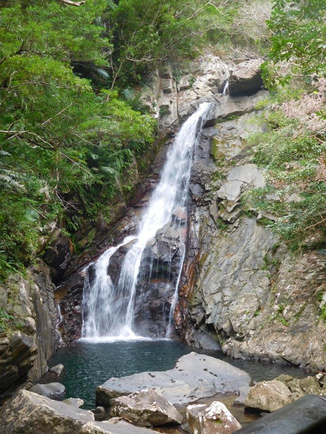 1に続き沖縄北部を探索します、辺戸岬から安田くいなふれあい公園でヤンバルクイナを見学し、比地大滝を見学します<br /><br />写真は比地大滝です