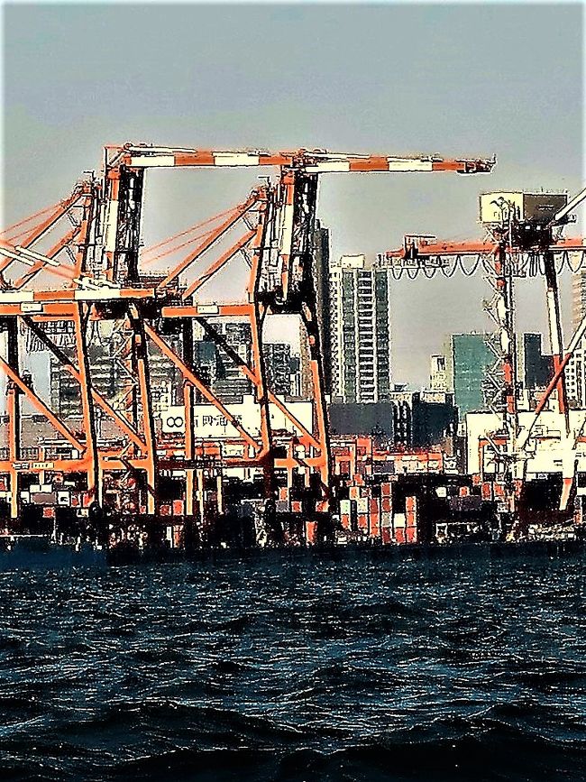 大井コンテナふ頭は、東京港のコンテナ埠頭の1つである。東京港で最大のコンテナ埠頭であり、最大の埠頭である。係留数3037隻（港内1位）、総トン数7246万8210トン（港内1位）、取扱貨物量2530万9736トン（港内1位）。大井CTとも。<br /><br />大井コンテナ埠頭は青海コンテナ埠頭の約2倍、品川コンテナ埠頭の約12倍の面積をもつ東京港最大のコンテナ埠頭である。大井コンテナ埠頭には南北2354メートルの岸壁があり、南からO1～O7と呼ばれる7つのバースが設けられている。それぞれのバースは総トン数5万トン級に対応している。O5を除いて2バースごとにガントリークレーンが備え付けられており、合計20基が稼動している。大井コンテナ埠頭のガントリークレーンは全てが16列から18列に対応したスーパー・ガントリークレーンであり、O5を除いて2バースごとに5～6機が備え付けられている。またO1・O2バースのクレーンは今後20列対応のメガ・ガントリークレーンに交換される予定である。このクレーンはトラックが運んできたコンテナ（最大61トン）を2つずつ持ち上げて（ツインリフトスプレッダ）、海側に最大58メートル移動し、貨物船の甲板に横に20列置き、上にも何段か積み上げる。1箇所が終わったらクレーンはレール上を移動して隣で積み込みを行う。クレーンの後ろはコンテナ置き場（コンテナヤード）になっており、コンテナの整理は合計69基のトランスファークレーンやその他のトップリフターなどで行う。水深15メートル。東京港で最も主要なコンテナ基地で世界有数の規模である。<br />（フリー百科事典『ウィキペディア（Wikipedia）』より引用）<br /><br />東京ゲートブリッジは、東京港第三航路（東京東航路）を跨ぎ中央防波堤外側埋立地と江東区若洲を結ぶ橋梁である。<br />一般公募の中から「東京ゲートブリッジ」の名称が付けられた。また、恐竜が向かい合っているような特異な形状をしている事から恐竜橋とも呼ばれる。2012年（平成24年）2月12日に開通した。<br />（フリー百科事典『ウィキペディア（Wikipedia）』より引用）<br /><br />屋形船（やかたぶね）とは、和船の一種で、主に船上で宴会や食事をして楽しむ、屋根と座敷が備えられた船のこと。<br />大きさ全長20メートル前後、定員は15～80名程度。若干の業務用（操船、調理）空間を除いて、大半が客用空間となっている。東京では隅田川周辺や浜松町、品川近辺に船宿が多い。<br />（フリー百科事典『ウィキペディア（Wikipedia）』より引用）<br /><br />　『東京消防庁出初式・一斉放水＆羽田空港観覧貸切クルーズ』<br />放水艇からの迫力ある一斉放水訓練やヘリコプターによる救助訓練などをお楽しみいただきます！ 頭上より飛来する航空機の離着陸を真近で観覧！迫力の航空機シーンをお楽しみください。<br />展望パノラマデッキ付き屋形船で観覧クルーズ！<br /><br />●●出初式・放水訓練＆羽田空港観覧クルーズ航路●●<br />［北品川乗船場］ ⇒ 京浜運河 ⇒ 羽田空港（B・C滑走路付近）  ⇒ 城南島海浜公園 ⇒ 大井コンテナヤード⇒ （有明付近）【東京消防庁出初式・一斉放水訓練観覧】　⇒　［品川乗船場・帰港後終了］<br />（http://www.poke.co.jp/book/calendar.php?eventid=P009119　より引用）<br /><br />屋形船　平井　については・・<br />https://r.gnavi.co.jp/g593800/<br />