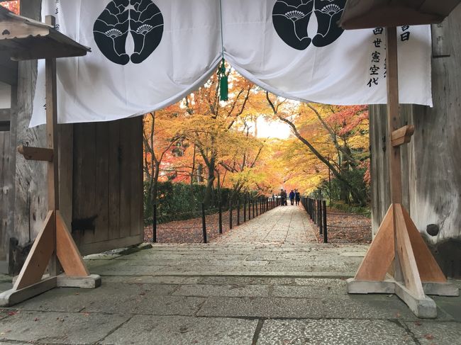 ２０１６年京都の長岡京へ紅葉を見に大阪へ車で行きました。<br /><br />ランチはおせいべいで有名な小倉山荘。梅田だとおせべいは阪神梅田にあるところです。長岡京が本店です。<br />小倉山荘カフェHP<br />http://www.ogurasansou.co.jp/category/183.html<br /><br />そして、光明寺。<br />１２月５日(月)に行ったのですが、昨日までで紅葉拝観期間は終了。なので、拝観期間特別料を払わず無料で入れてラッキー。駐車場も時期のときは停めるのがたいへんですが簡単に無料で停めれました。表の入口は段差がありバリアフリーではありませんが、裏口から入れば駐車場から段差なしで楽々入れます。紅葉を気軽にみたいときは、期間外をおすすめします。十分きれいです。<br />光明寺HP<br />http://www.komyo-ji.or.jp/