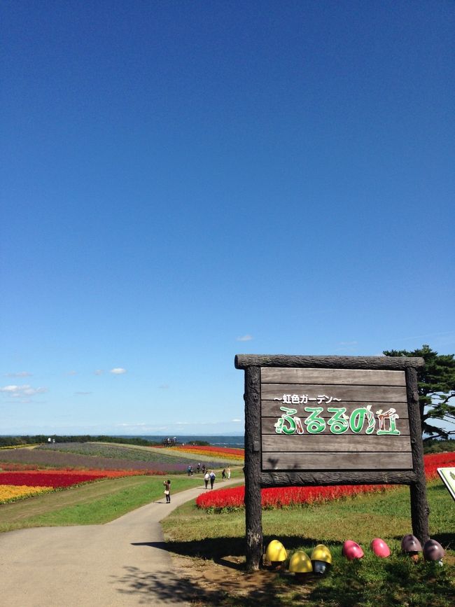 北海道の富良野にも負けないくらいの景色でした。