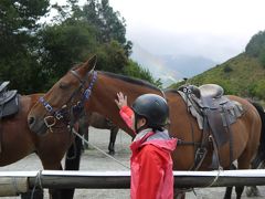 毎日「おおっ！」のニュージーランド④グレノーキーで乗馬　アロータウン経由でマウントクックへ