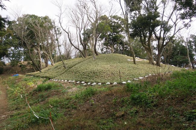 寒気到来の中、晴天に恵まれ、逗子から田越川沿いに、歩きながら六代御前、蘆花公園と散策。蘆花公園の中の建屋、登り窯、梅などを眺めながら、古墳の方へ、山道を登る。結構急な階段であるが、2回ばかり小休止。途中江の島、大山、富士山の方を眺めるが、寒気団の影響で、たぶん雪が降っていると思われるベールを見る。寒そうである。まず2号古墳に到着。まだこちらは、発掘がこれからと思われる。なぜこんなところに、東日本では大変珍しい4世紀の前方後円墳である。小高い山のところにこれだけの規模の古墳を作ったのはなぜだろうか。夢がある。さらに歩き1号古墳へ。こちらはかなり発掘調査が行われ整備が始まっている。いずれ公園化されるとのこと。こんな身近なところにロマンを感じるところがあるとは驚きであった。不思議なことに、二つの古墳は、逗子市と葉山町の境界線の上にある。4世紀の人たちが、今を予測していたのであろうか。現在は、国指定史跡となっている。写真は、2号古墳である。