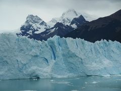 2016年 年末年始:パタゴニアを満喫(その2)/エル・カラファテで野鳥と氷河を堪能