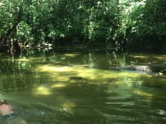 マレーシアひとり旅☆グヌンムル国立公園～コタキナバル編