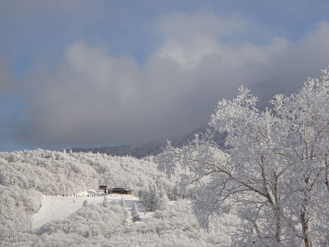 年末年始に蔵王にスキーに行ってきました。<br />去年に続いてまたまた雪不足の年末年始。。<br />とても体力を使いましたが、<br />温泉で癒されました☆