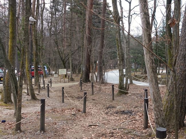 山梨県にあるシャトレーゼの工場にずっと行ってみたいと思っていたので、信州への帰省から戻る途中に寄り道しました。<br />なにしろアイスの試食し放題らしい。<br />こんな冬では体が冷えそうだが、まあアイスなんてそんなに大量に食べるわけでも無いし・・・。<br /><br />というわけで、大喜びの子供たちを連れていざ出発です。