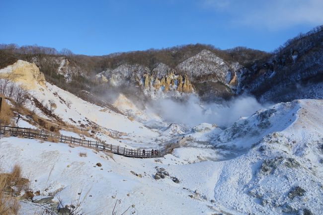 関西人、特に大阪市内に住む私たちには雪景色とは全く無縁。<br />東南アジアからの観光客と同じレベルでただ「雪が見たい」と北海道行きを決行！<br />北海道へは過去2度訪れているが、二度ともスキーでニセコしか知らない私たち。<br />お花がいっぱい咲き誇った北海道へも行ってみたかったが、<br />やっぱり昔に見た白銀の世界、雪見露天風呂への憧憬の方が強く、<br />北海道はメジャーな登別温泉と定山渓温泉のハシゴ旅をすることに。<br /><br />この旅行記は初日の登別温泉編。<br />あっちこっちで湯けむりが上がっている地獄谷を見学後、<br />何故か雪山ハイキングの流れになってしまう。<br />その後は温泉につかって、北海道の食材をふんだんに使ったお夕食と、<br />いつもの温泉おこもり旅。<br /><br />2日目は登別から札幌へ移動。札幌ではなんと大雪でテンションアップ！<br /><br /><br />1/12(木）関空→新千歳空港→登別温泉<br />1/13(金）登別温泉→札幌→定山渓温泉<br />1/14(土）定山渓温泉→札幌→新千歳空港→関空