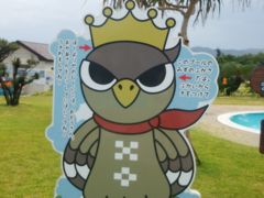 梅雨の沖縄 毎日快晴～その4～