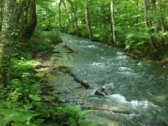 お盆明け 女ひとり旅～奥入瀬散歩～ １泊２日  １日目(焼山→石ヶ戸)