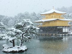 雪の金閣寺から冬の特別公開の二条城！