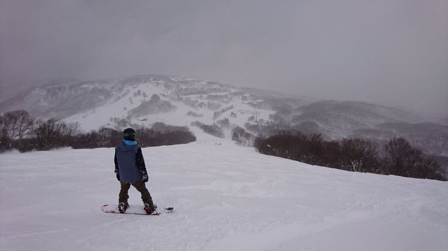 今月1月14、15日の週末は今シーズン初の大寒波到来。全国的に大雪警報が出るとニュースで大騒ぎになっていました。<br />スノーボード大好きな私たち夫婦も、もちろんボードに行く予定。旦那様はどこで滑るか悩んでいた様子でしたが、週半ばに新潟行きを告げられた時は、、、<br />マジで行く気？!だって！！大雪！！<br />…とは言え、まぁ雪は無いよりあった方がいいし～って思って新潟行きを決定しました。<br /><br />雪…あるにしても限度が…。雪国の皆様、本当にお疲れ様です。驚きました。<br /><br /><br />ちなみに日程は1月13日の金曜日、会社から帰宅し、すぐさま車に乗って出発。富山に一泊して翌朝14日に、新潟の『妙高杉ノ原スキー場』へ。赤倉温泉に一泊し、翌日15日は『斑尾高原スキー場』へ。とゆう地獄のスケジュールです。