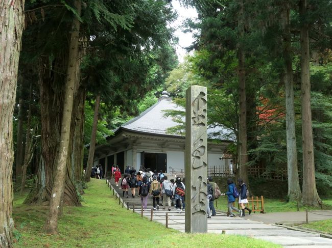 10月末に夫と2人、東北のひとあし早い紅葉を見に1泊2日の旅行をして来ました。<br />JTB旅物語の「世界遺産平泉中尊寺と奥入瀬・十和田・角館2日間」というツアー旅行です。<br /><br />私にとっては岩手県、秋田県、青森県は初めて旅する地。<br />旅をすると4トラベルの旅行地図がオレンジ色に塗られるのが楽しみで、これはぜひ旅行記を書こうと思っていたのに、いろいろあってバタバタしているうちに年を越してしまいました。<br /><br />それどころか、年末に白川郷へまた別の旅をしたため、せっかくの東北旅行の記憶が薄れてしまいました。<br /><br />白川郷への旅は置いておくことにして、忘れないうちに、まずは東北旅行の旅行記を思い出しながら少しずつ書いて行こうと思います。<br /><br /><br /><br /><br />~*~*~*~*~*~*~*~*~*~*~<br /><br /><br />今回の旅行で訪れた場所<br />(★印が本旅行記で取り上げた所)<br /><br />一日目 ★岩手県 毛越寺(もうつうじ)と中尊寺<br /> 秋田県 角館(かくのだて)<br /> 岩手県 雫石高倉温泉の雫石プリンスホテル泊<br /><br />二日目 青森県 奥入瀬渓流<br /> 十和田湖<br /> <br /><br /><br /><br />東北地方の紅葉は関東地方よりひと月ほど早いです。<br /><br />それでも場所によって紅葉の時期に差があるのは当然のこと。<br />平泉の紅葉には少し早く、角館では少し遅く、奥入瀬渓流ではなんとか間に合った感じでしたが、道中、バスの車窓から見える紅葉の美しさは感嘆ものでした。<br /><br />紅葉の美しさに加え、もう一つ、今回の旅行はバスガイドさんの巧みな話が印象に残る旅でした。<br /><br />ガイドさんは宮城県のバス会社の人でしたが、岩手県にも秋田県にも青森県にも詳しく、車窓から街が見えたら「街の話」、山が見えたら「山の話」というように、時にユーモアや方言を交え、東北地方全体の話を実に詳しくガイドしてくれました。<br />いいガイドさんに当たって良かったです。