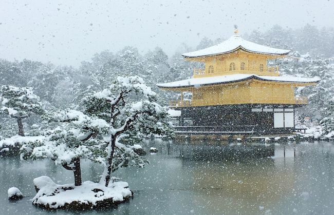 ２０１７年に入り初めての京都、今日はかなりの降雪との予報ですが予定通り朝６時３０分神戸を出発、ＪＲに乗ります。長岡京までは雪はなかったのですが、桂川を渡ると降ってきました！京都駅ビルでモーニング、駅前でバス１日乗車券を求め、金閣寺から二条城に向かいます。二条城では冬の特別公開を行っています。１８６７年（慶応３年)１５代将軍徳川慶喜が大政奉還の意志を表明した二の丸御殿の大広間から、通常入ることができない二の丸庭園を眺められるというものです。<br /><br />　表紙は、雪化粧の鹿苑寺金閣です。