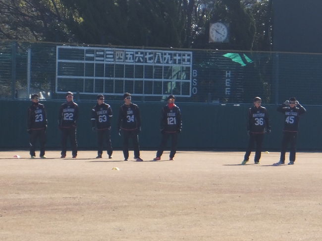 ロッテ浦和球場に千葉ロッテマリーンズの新人合同自主トレ見学に行ってきました。