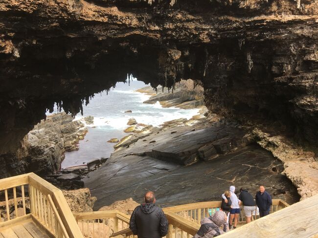 昨年2月のエアーズロック旅行の当初計画はアデレード経由でしたが、後日ハミルトン島・ケアンズ経由に変更したので、今回の旅行はカンガルー島とアデレードに決定。<br /><br />カンガルー島3日目は、レンタカーでフリンダーズチェイス国定公園を散策し、ニュージーランドオットセイとアドミラルズアーチを見ることができました。<br /><br /><日程><br /><br />12/31~1/1 羽田空港→シドニー空港<br />1/1 シドニー空港→アデレード空港→キングスコート空港・オゾンホテル泊<br />1/2 シールベイ<br />1/2~1/4 カンガルー島ウエスタンKIキャラバン2泊★<br />1/4~1/7 アデレード アデーナ アパートメント3泊<br />1/7~1/8 アデレード空港→シドニー空港→羽田空港