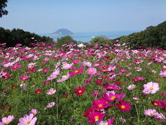 仔猫といっしょ計画（福岡総決算２０１３秋　能古島他）