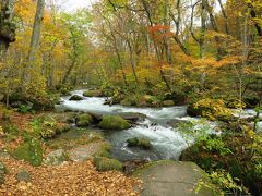 ひとあし早い紅葉を見に東北へ＜４＞　秋色の「奥入瀬渓流」と「十和田湖」