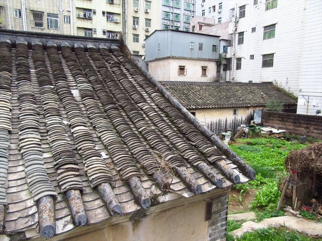 日本人も中国人も大体は深センと聞くと、歴史建築が無く観光的な魅力の乏しい新しい町、というイメージが浮かぶことが多いです。でも実は、そんな新しい町の一角に古い町並みや建築が残っていたりします。そういうところをあちこち回るのが深センに引っ越してきてからの楽しみ。さて今回の村さんぽは龍崗区。布吉街道にある上水径村に行ってみました。駅から邱氏宗祠を目指して歩いていきましたが宗祠は新しいみたいで、周りの建物も、老圍の割には新しいような感じがしました。うーーん?名前が老圍なのにおかしいなぁと思って村の周りを1周してみると、少し高いところにある公園(村は傾斜にあります)から、古い建物を発見。魚のうろこのような瓦の乗った古い建物にワクワクしながら村さんぽ。でも怪しげな小道に入ってしまいちょっとドキドキでした。