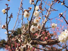 真冬の小田原めぐり