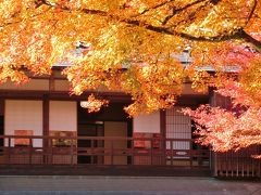 奥津和野の山里にある旧家の庭園を訪ねて　（燃えるような紅葉が素晴らしかった）　　①