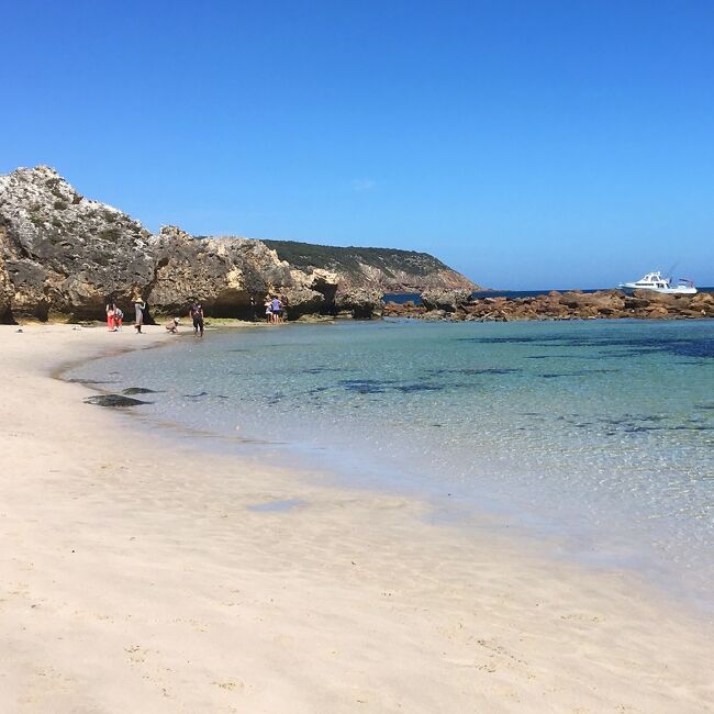 昨年２月のエアーズロック旅行の当初計画はアデレード経由でしたが、後日ハミルトン島・ケアンズ経由に変更したので、今回の旅行はカンガルー島とアデレードに決定。<br /><br />カンガルー島４日目の最終日は、<br />ストークスベイビーチ・ワイルドライフパーク・アメリカンリバーをドライブしながら、キングスコート空港へ。<br /><br />昨年、エアーズロック旅行に行った時、<br />満天の星空をIPhoneで撮影したら、<br />真っ黒で、満天の星がが写っていなかったので、<br />今回一番安い一眼レフと三脚を買って持参したのですが、<br />三脚の出番がありませんでした。<br /><br />&lt;日程&gt;<br /><br />12/31～1/1　羽田空港→シドニー空港<br />1/1　 シドニー空港→アデレード空港→キングスコート空港・オゾンホテル泊<br />1/2 　　　シールベイ<br />1/2～1/4 カンガルー島ウエスタンKIキャラバン２泊<br />1/4      ストークスベイ・ワイルドライフパーク★<br />1/4～1/7 アデレード　アデーナ　アパートメント３泊<br />1/7～1/8 アデレード空港→シドニー空港→羽田空港