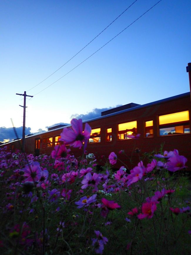 ついに下灘駅へ降り立った。<br />ここから眺める景色は最高。