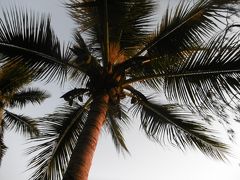 2泊4日　ニューカレドニア旅行（ヌメアとメトル島）〜その1〜