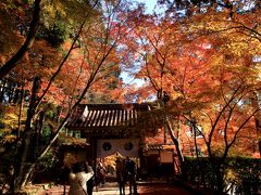 京都西山三山（光明寺、善峯寺、楊谷寺）の紅葉。 ちょっと時期的には遅いとは思いながら出かけました。