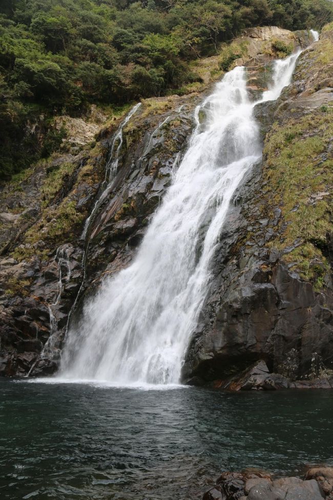 午前中にヤクスギランドで軽いハイキングをやり、昼過ぎ安房から宮之浦、吉田、永田、永田岬の屋久島灯台、西部林道を通り、大川の滝まで。軽食、休憩とのんびり走り３時間半のドライブ。２０１５年５月２９日に噴火した口永良部島が西海岸のドライブではずっと望めた。林道では猿と鹿に良く出くわし、車が来ても逃げないので注意が必要。ここでは大川の滝と滝の手前の西部林道の南端で遭った猿と鹿を載せた。