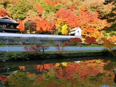 奥津和野の山里にある旧家の庭園を訪ねて  (  燃えるように染まった紅葉がすばらしかった。）　  ②