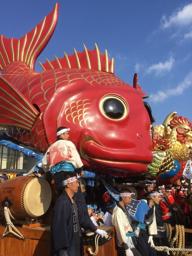 11月のはじめ、３日間にわたって繰り広げられる唐津くんち。毎年大迫力です。