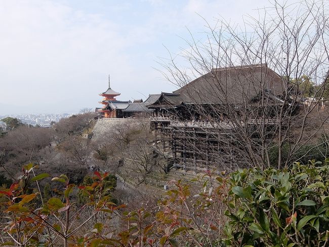 清水寺から、清水三年坂美術館へ行って来ました。