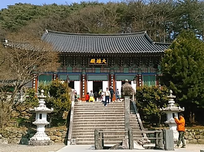 160回目の韓国。2017/3/18土～20月<br />10月下旬にエア釜山HPで航空券を予約。<br />往路：￥5,000、<br />復路：￥6,000、<br />空港税等：￥4,740<br />合計￥15,740でした。<br />韓国33観音聖地のお寺巡りをしています。<br />先月、法興寺を訪問し、結願まであと1ヶ所となりました。<br />33ヶ所目、33観音聖地第15番の双磎寺を訪問し、<br />韓国33観音聖地巡りの33の寺院すべて訪問しました。<br />チムジルバン・スッカマ大好き。<br />今回も大好きなお気に入りのチムジルバン・スッカマで宿泊してきました。