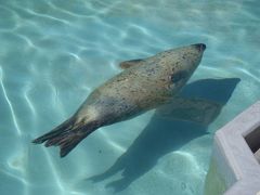 死ぬまでに行きたい北海道 ②