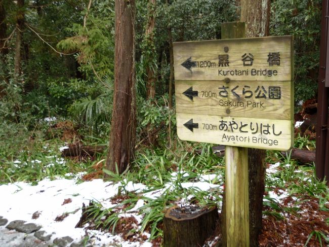 旅行会社のツアー情報を見ていると、大阪より２泊３日の山中温泉宿泊ツアーが、ＪＲのサンダーバード利用で一人２３，０００円。<br />平日出発の現地ではフリーのツアーだけど、朝・夕食付とのこと。<br />これは安いと思い、思わず申し込み出かけてきました。<br />今回のツアーの旅程は、<br />１月１９日　ＪＲ大阪駅よりサンダーバード２５号で加賀温泉駅に行き、そこからホテルの送迎バスでホテルへ移動し宿泊。<br />１月２０日　終日自由行動のため、永平寺おでかけバスで永平寺見学後、山中温泉街の散策<br />１月２１日　午前中、山中温泉街散策後、加賀温泉駅に行きそこからサンダーバード２２号で大阪駅に着き、そこから帰宅。<br />今回は移動も少なくゆったりできたので、温泉三昧の旅行となりました。<br />山中温泉は、先週の大雪で温泉街を散策できるか心配だったのですが、積雪も少なく天気予報も外れて寒い中でしたが楽しく散策できました。<br />やはり寒い冬は温泉が一番です。<br />今回は旅行最終日の山中温泉街散策と帰宅までを紹介します。