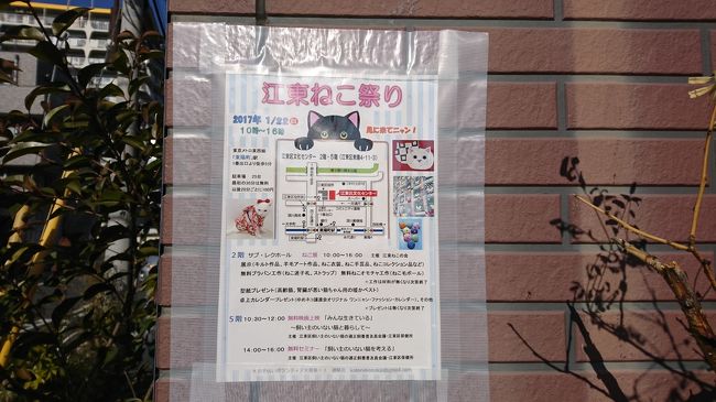 仕事帰りにたまたま見つけたポスターに惹かれて、江東ねこ祭りに行って来ました。