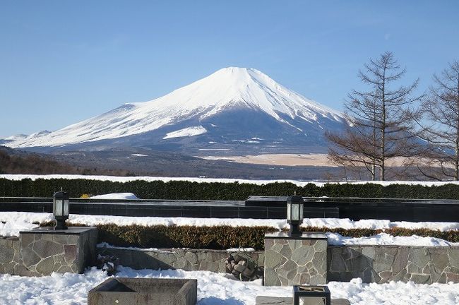 お正月のない我が家の遅めのお正月は<br />富士山を見ながら温泉<br /><br />ということで山中湖のエクシブへ<br /><br />今回は主人と私。。次女と坊っちゃま・べべちゃまの5人でお出かけしてきました