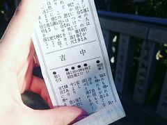 2017 初詣   子の権現へ