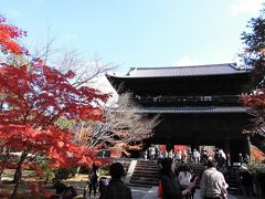 京都紅葉めぐり（１）