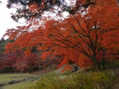 『毛越寺庭園』の紅葉がとても美しかったです！◆2015年11月／岩手県の紅葉＆滝めぐりの旅≪その９≫