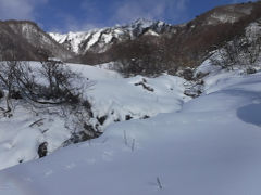 荒沢山 ラッセル＆枝漕ぎにて敗退